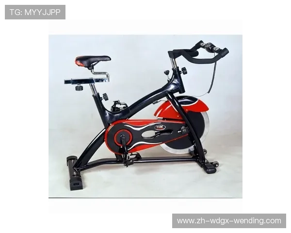 类似动感单车的健身器材类型及体育训练方法